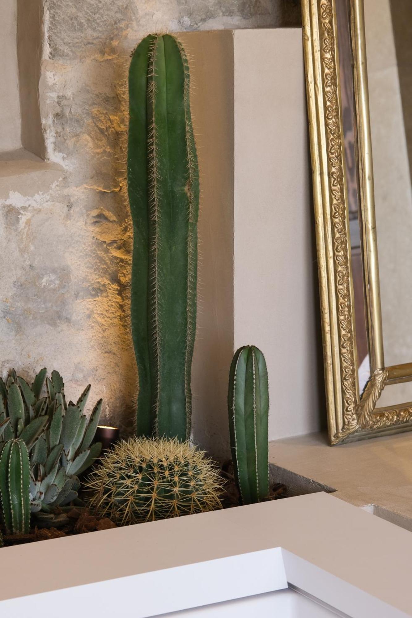 L'Abbaye Hotel La Colle-sur-Loup Εξωτερικό φωτογραφία